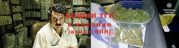 гидра Михайловка