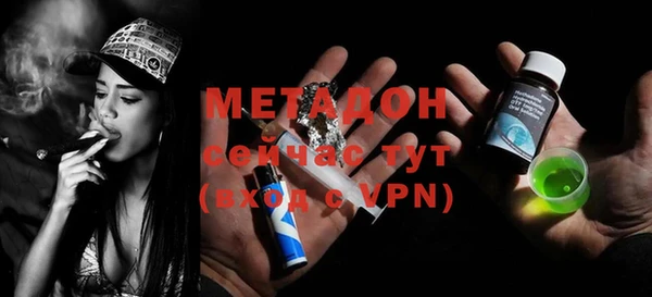 гидра Михайловка