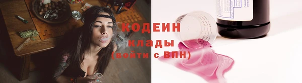 гидра Михайловка