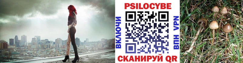 Псилоцибиновые грибы мицелий Чебоксары