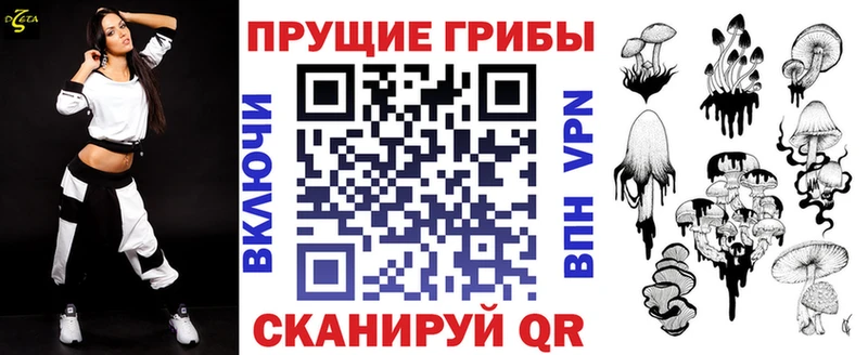Купить закладки  Чебоксары  Псилоцибиновые грибы Cubensis 